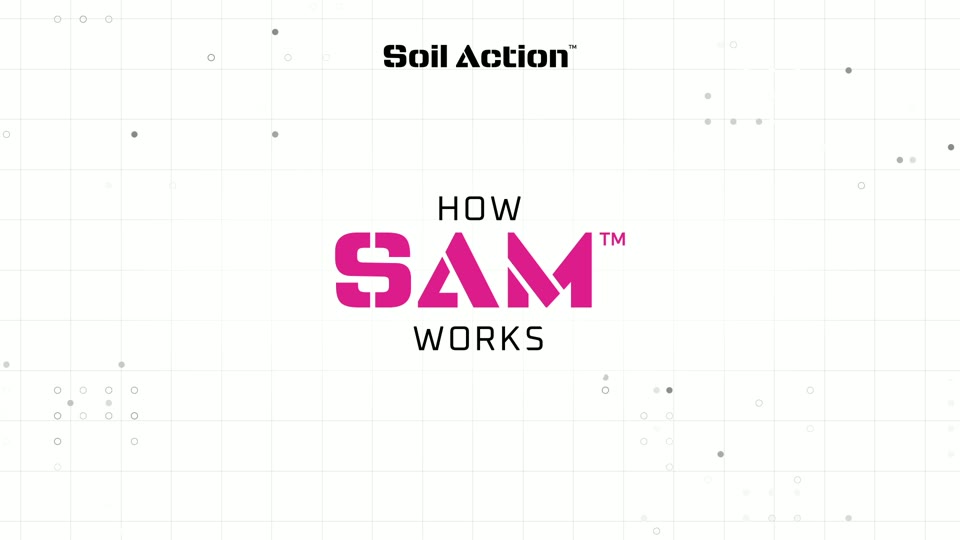 How SAM Works